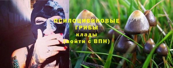 марки lsd Богородицк